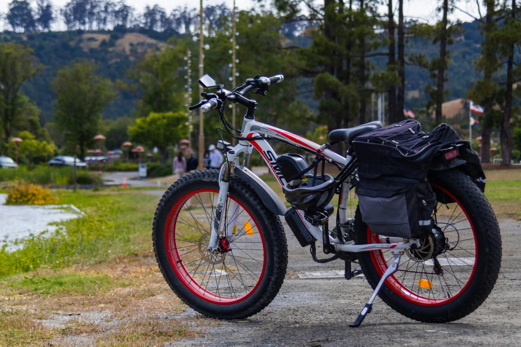 ‘Eén persoon per fatbike en verplichte verzekering’